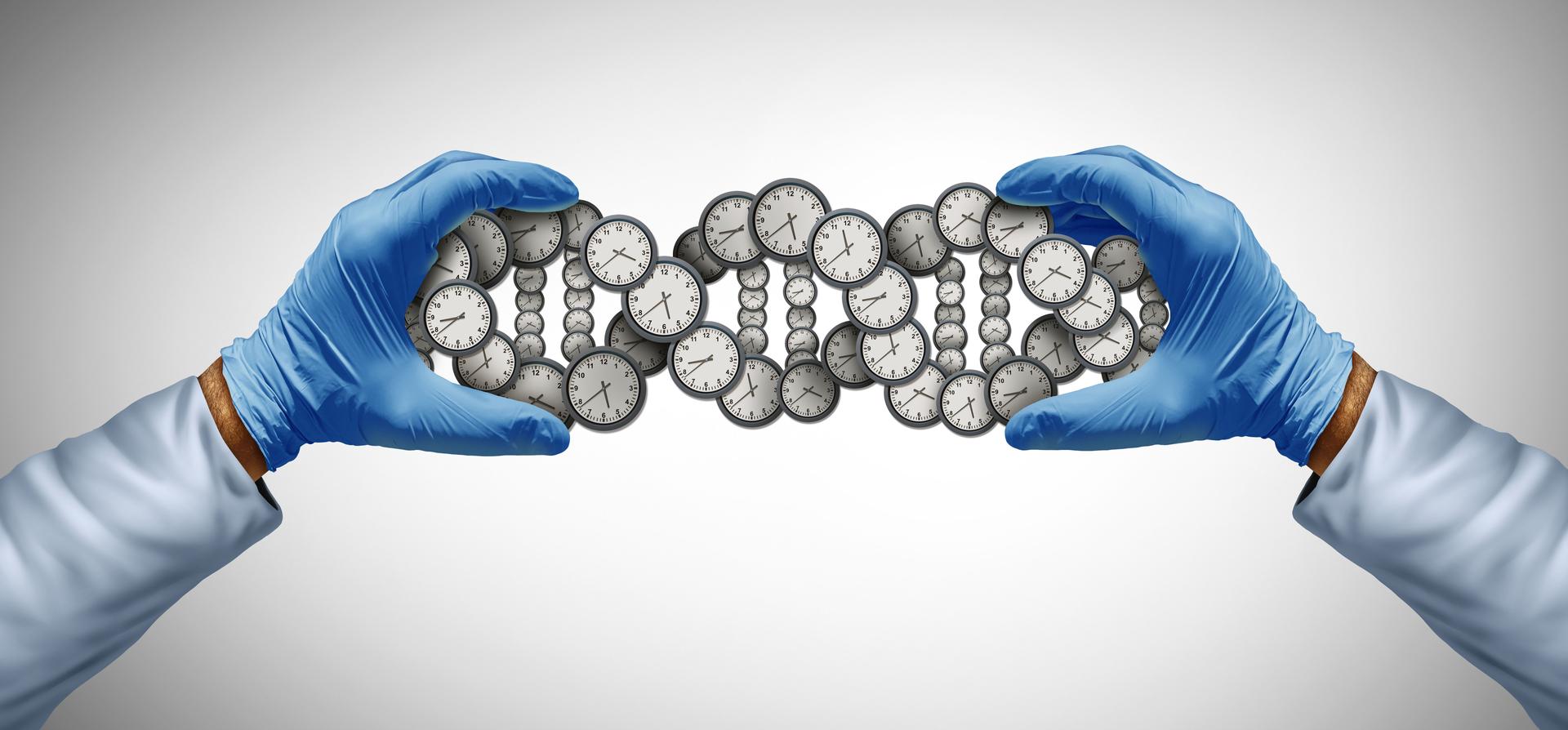 Aging Research