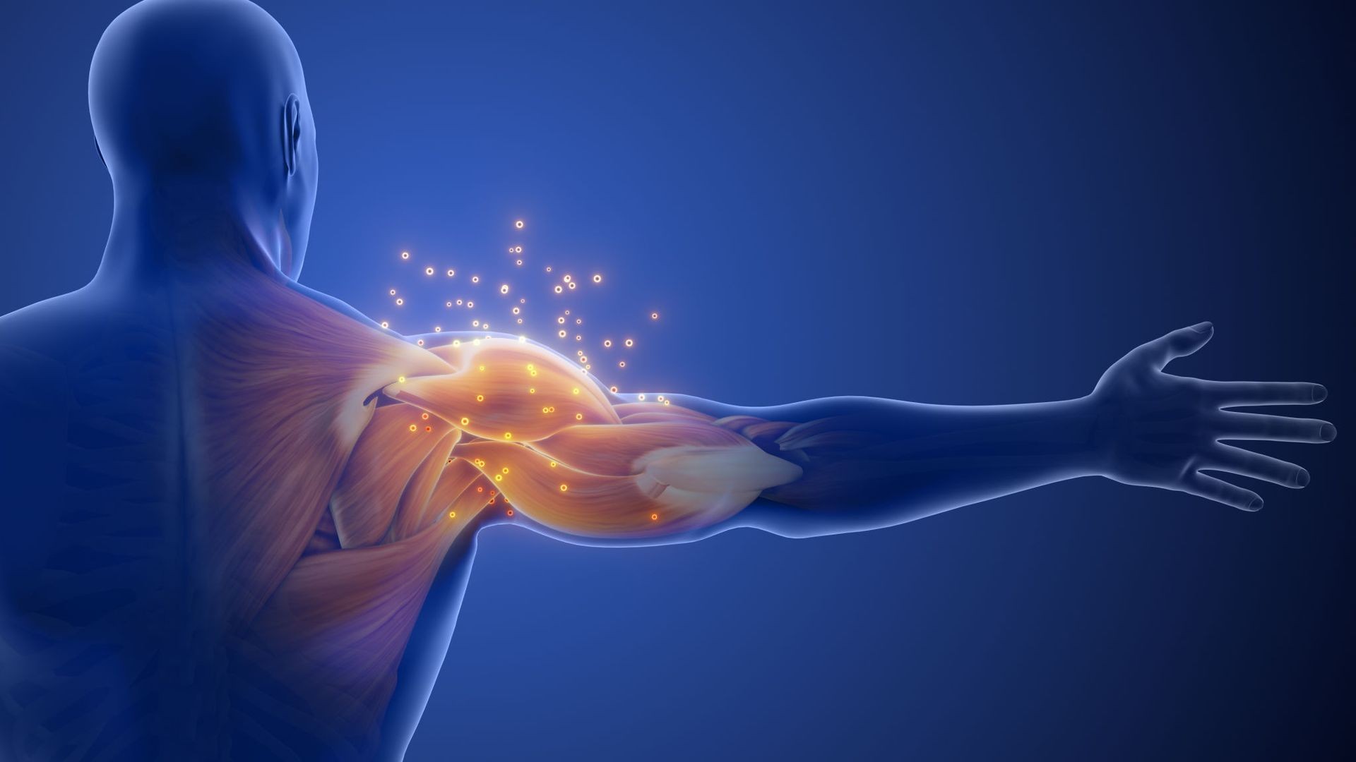 Illustration of human arm anatomy with glowing muscles and energy lines on a blue background.
